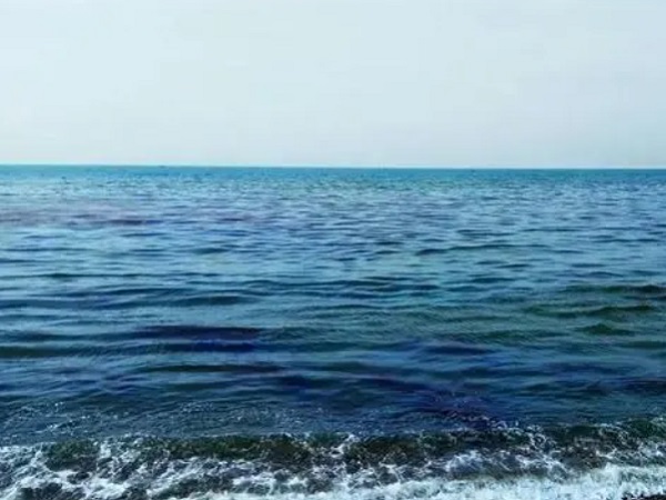 日本核廢水將排海-影響何以估量？